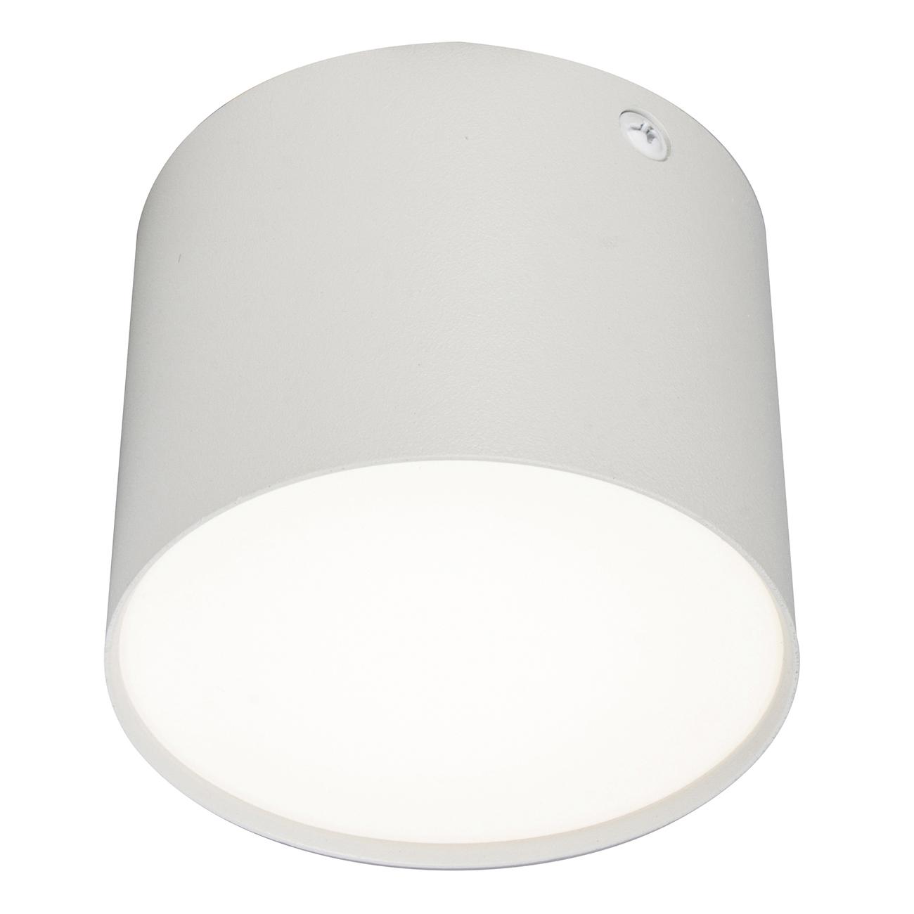 Потолочный светильник Escada 20004SMU/01LED SWH