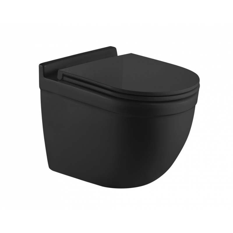 Унитаз подвесной WeltWasser WW SALZBACH 043 MT-BL 10000010282 черный матовый