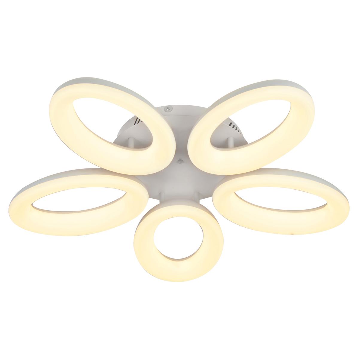 Потолочный светильник Escada Ellipse 10204/5LED