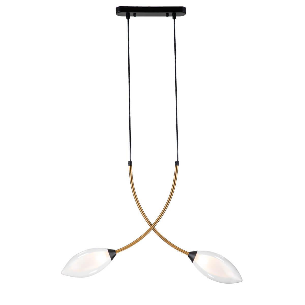 Подвесной светильник Indigo Fiore V000140 13001/2P Black