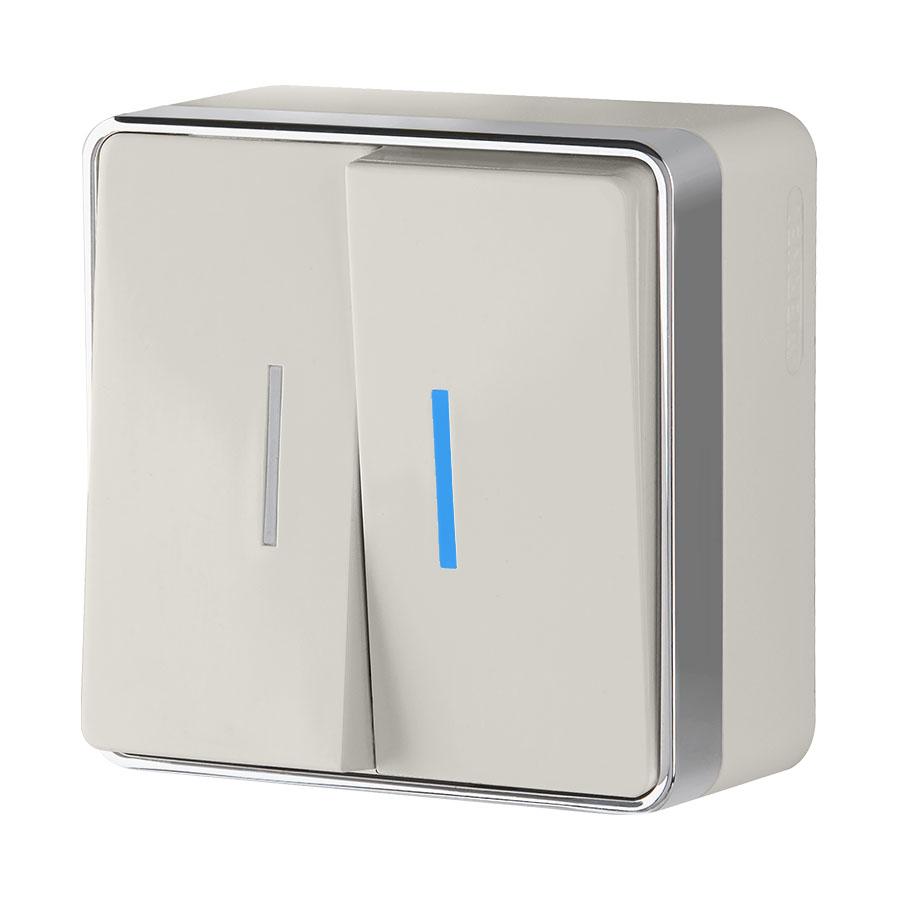 Выключатель двухклавишный с подсветкой Gallant слоновая кость Werkel W5020103