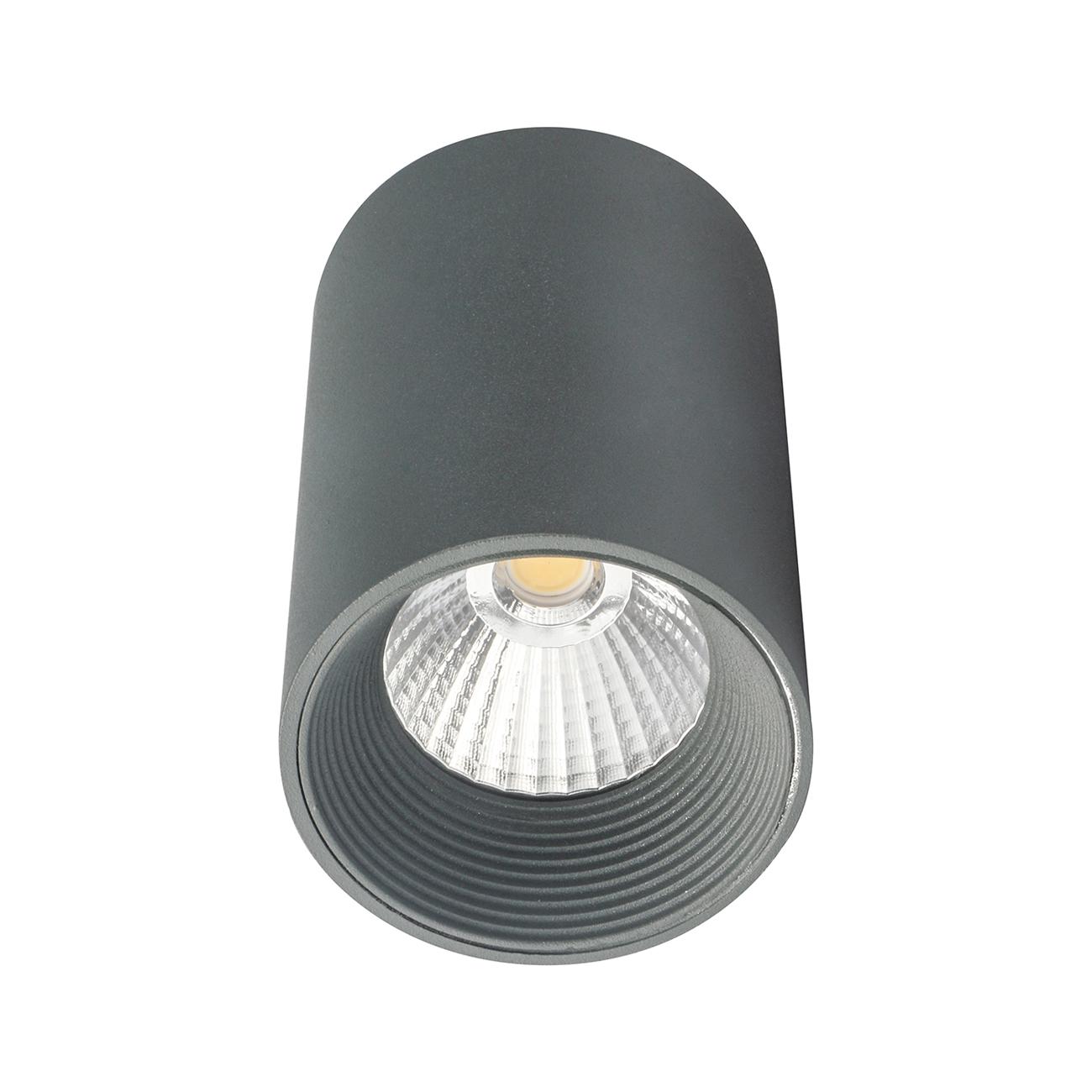 Потолочный светильник Escada 20003SMU/01LED SGY