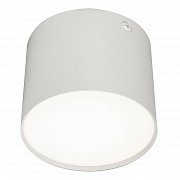 Потолочный светильник Escada 20004SMU/01LED SWH