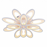 Потолочный светильник Escada Ecla 10238/12LED