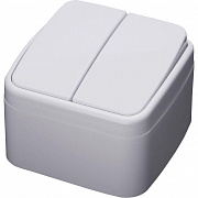 Выключатель двухклавишный Stekker Basic PSW10-42-20 39032