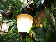 Уличный светильник Favourite Dragon 1717-1W