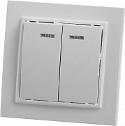 Выключатель двухклавишный Stekker Эрна PSW10-9002-01 39042