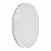 Светильник уличный светодиодный Feron Токио DH104 06318