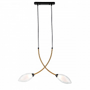 Подвесной светильник Indigo Fiore V000140 13001/2P Black