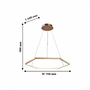 Подвесная люстра Favourite Hexagon 2103-6P