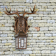 Уличный светильник Favourite Hunt 2078-1W