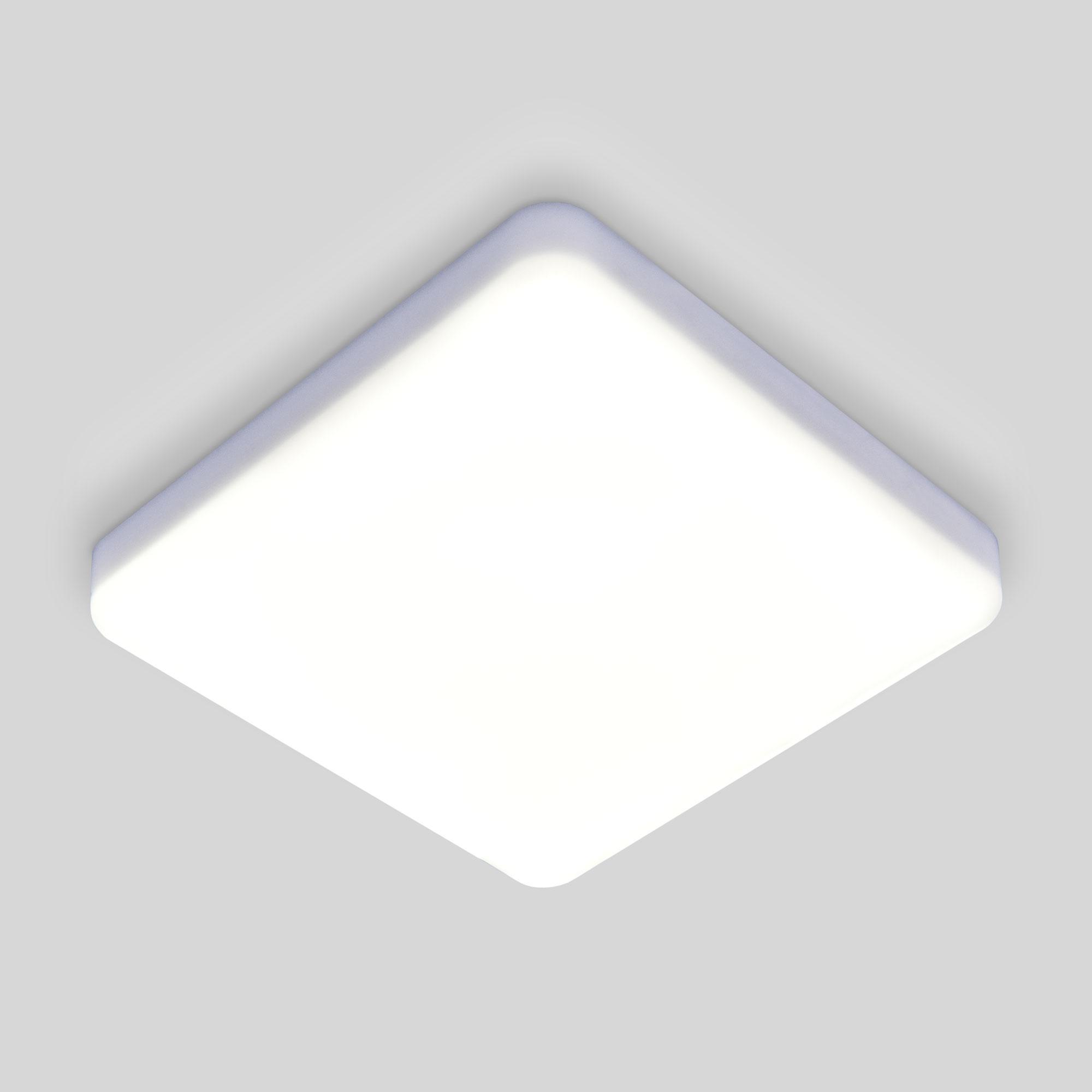 Накладной светодиодный светильник Elektrostandard DLS043