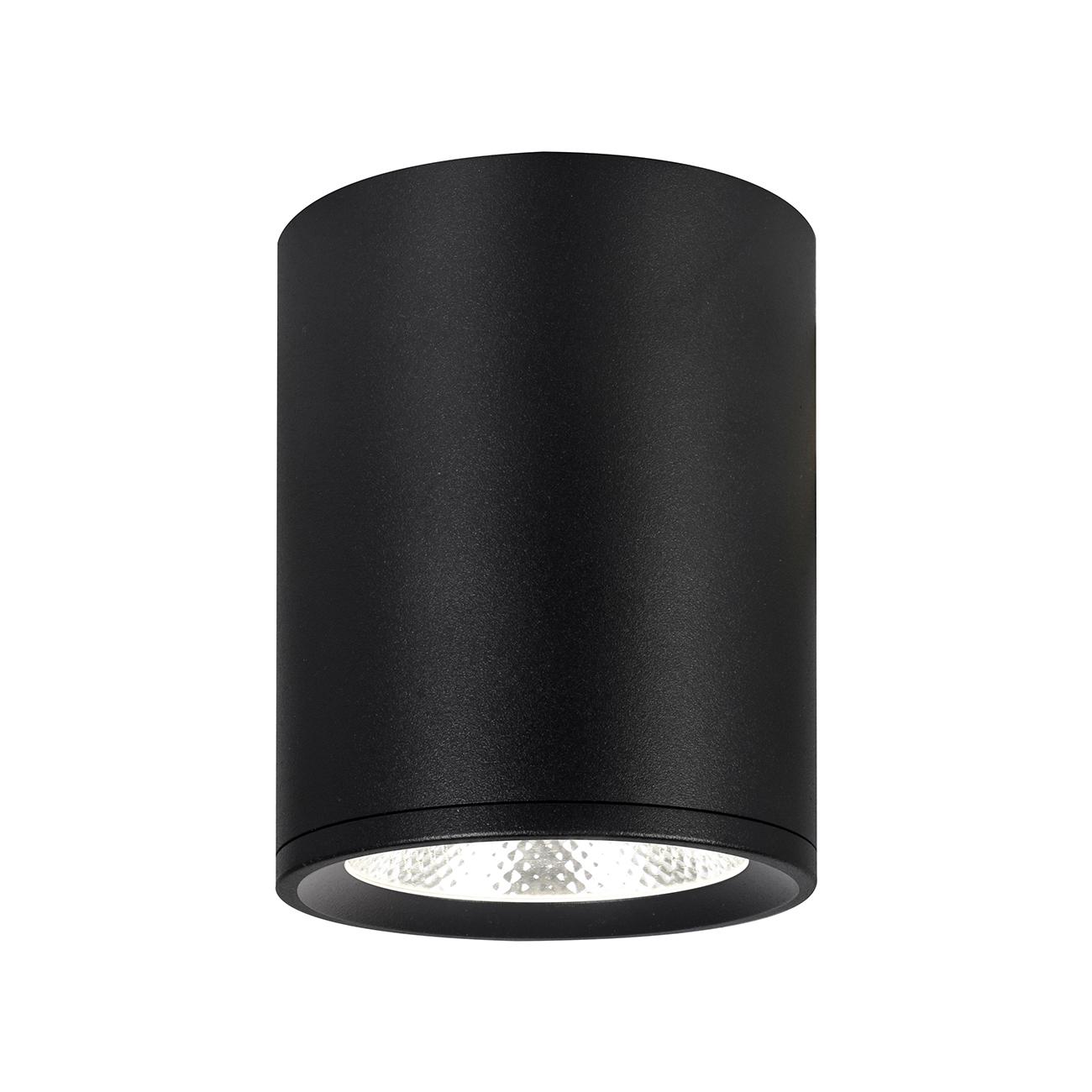 Потолочный светильник Escada 20003SMU/02LED SBK