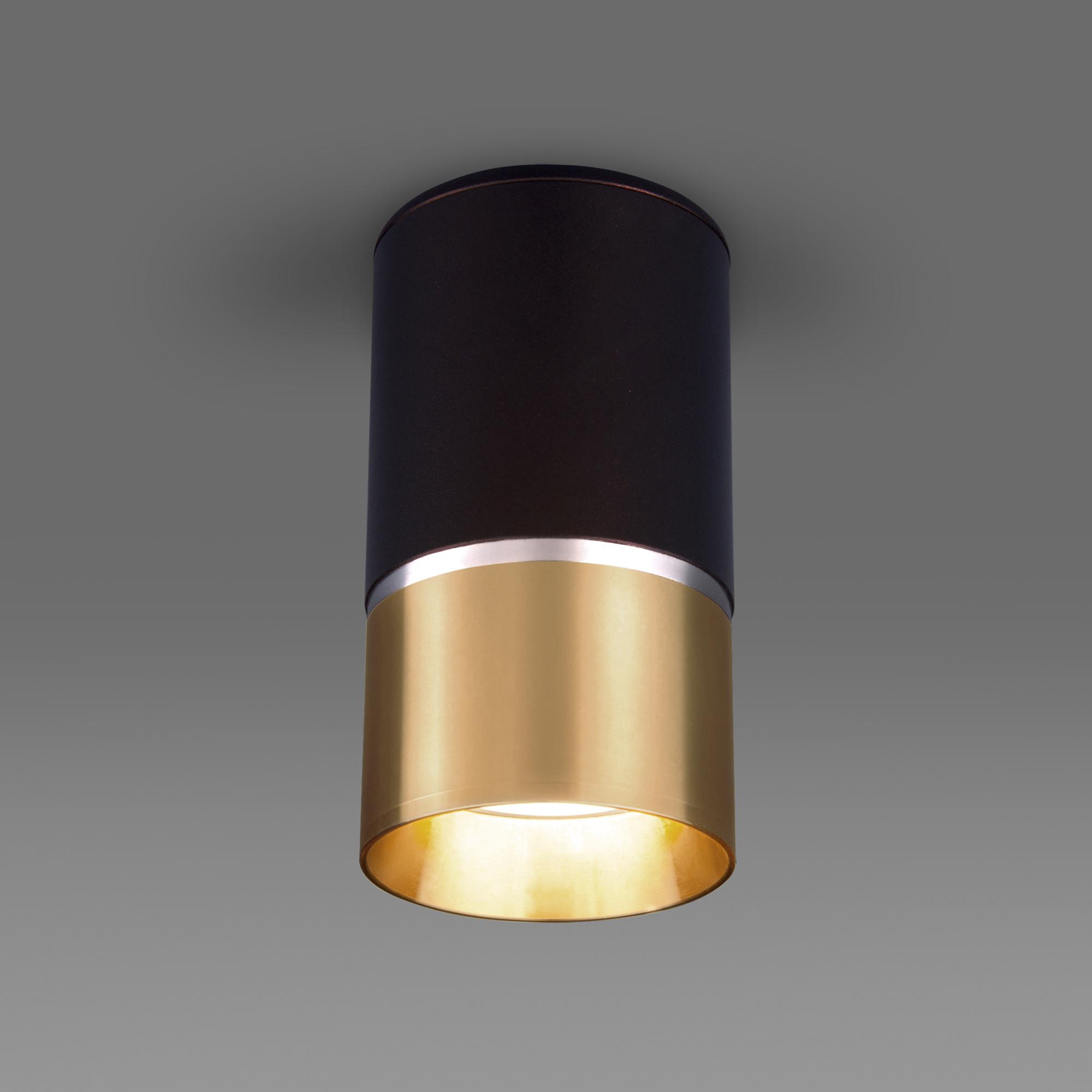 Накладной потолочный светильник Elektrostandard DLN106 GU10 a047732