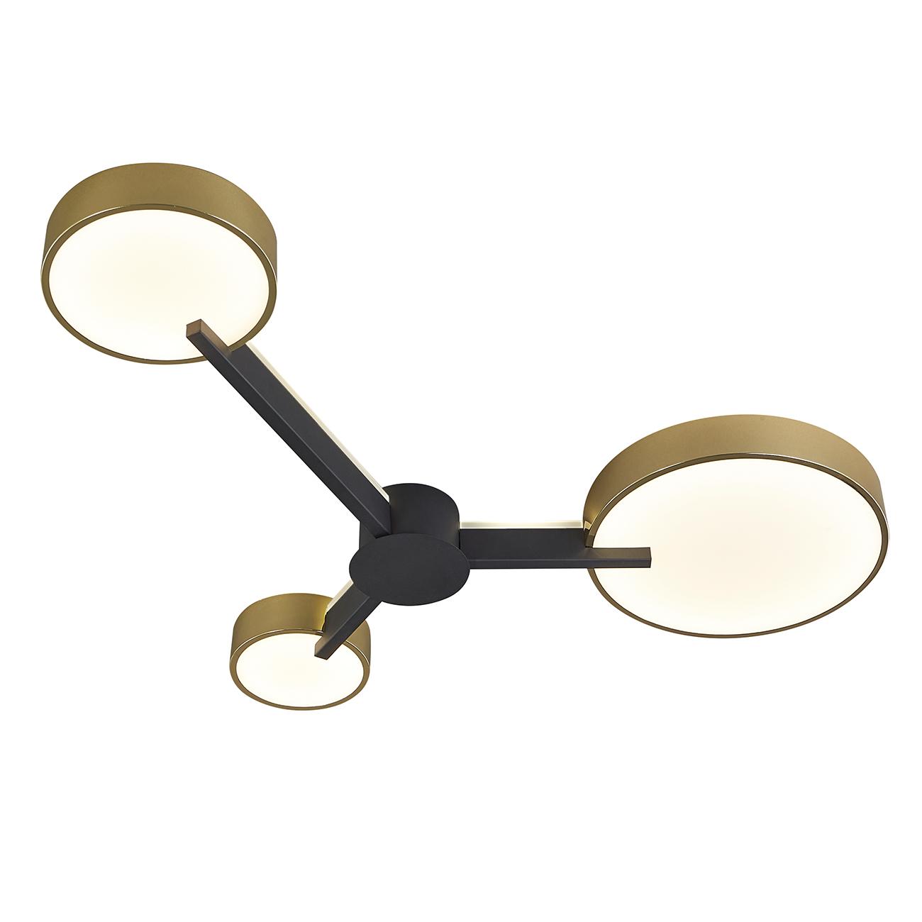 Потолочный светильник Escada Expert 10209/3LED