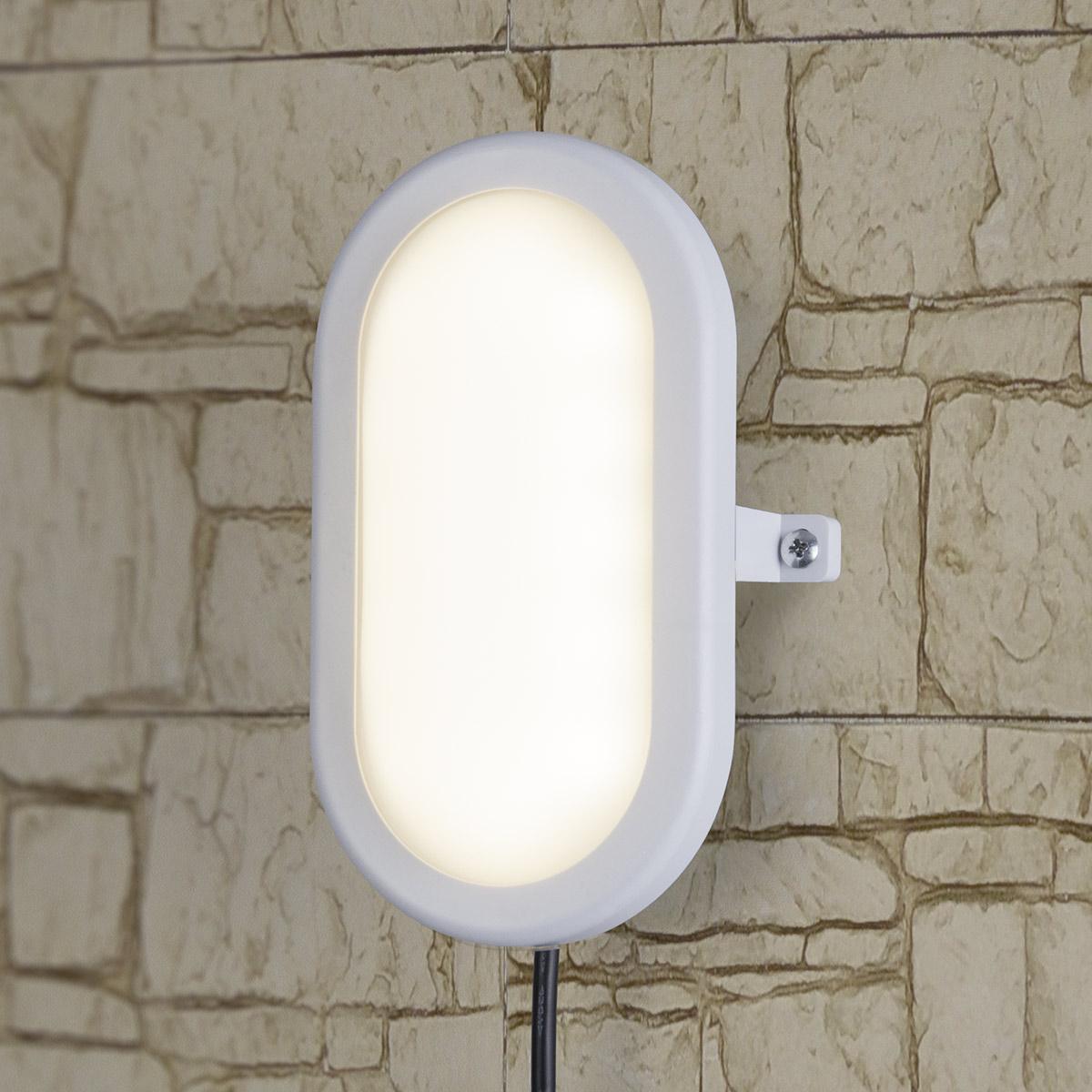 Пылевлагозащищенный светодиодный светильник Elektrostandard LTB0102D 22 см 12W