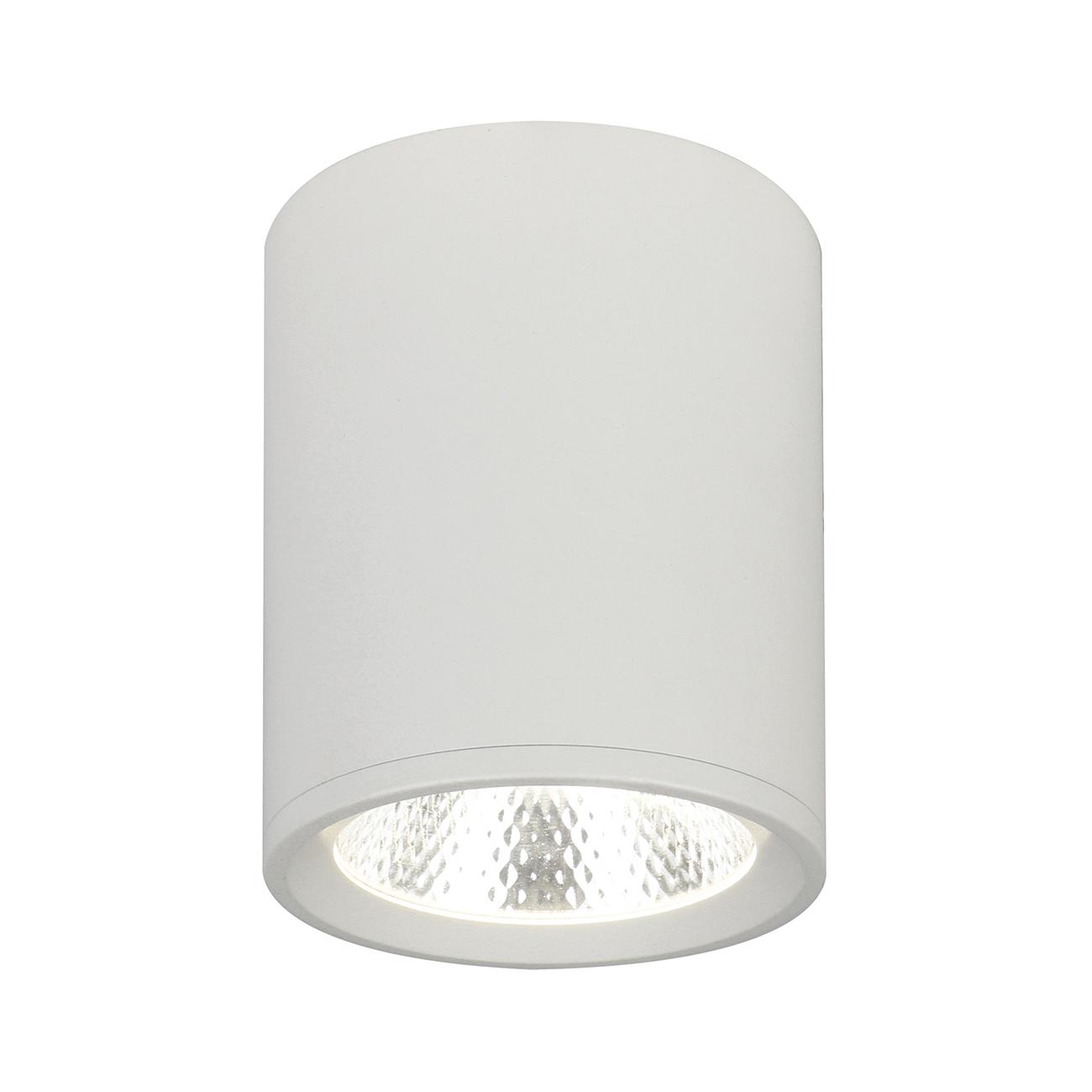 Потолочный светильник Escada 20003SMU/02LED SWH