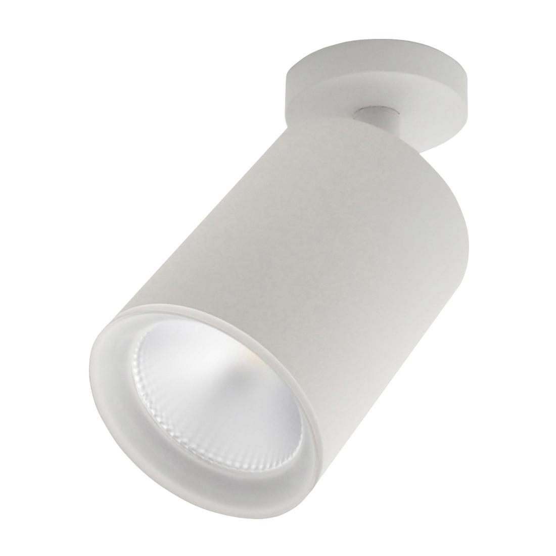 Спот Escada 20020SMA/01LED SWH