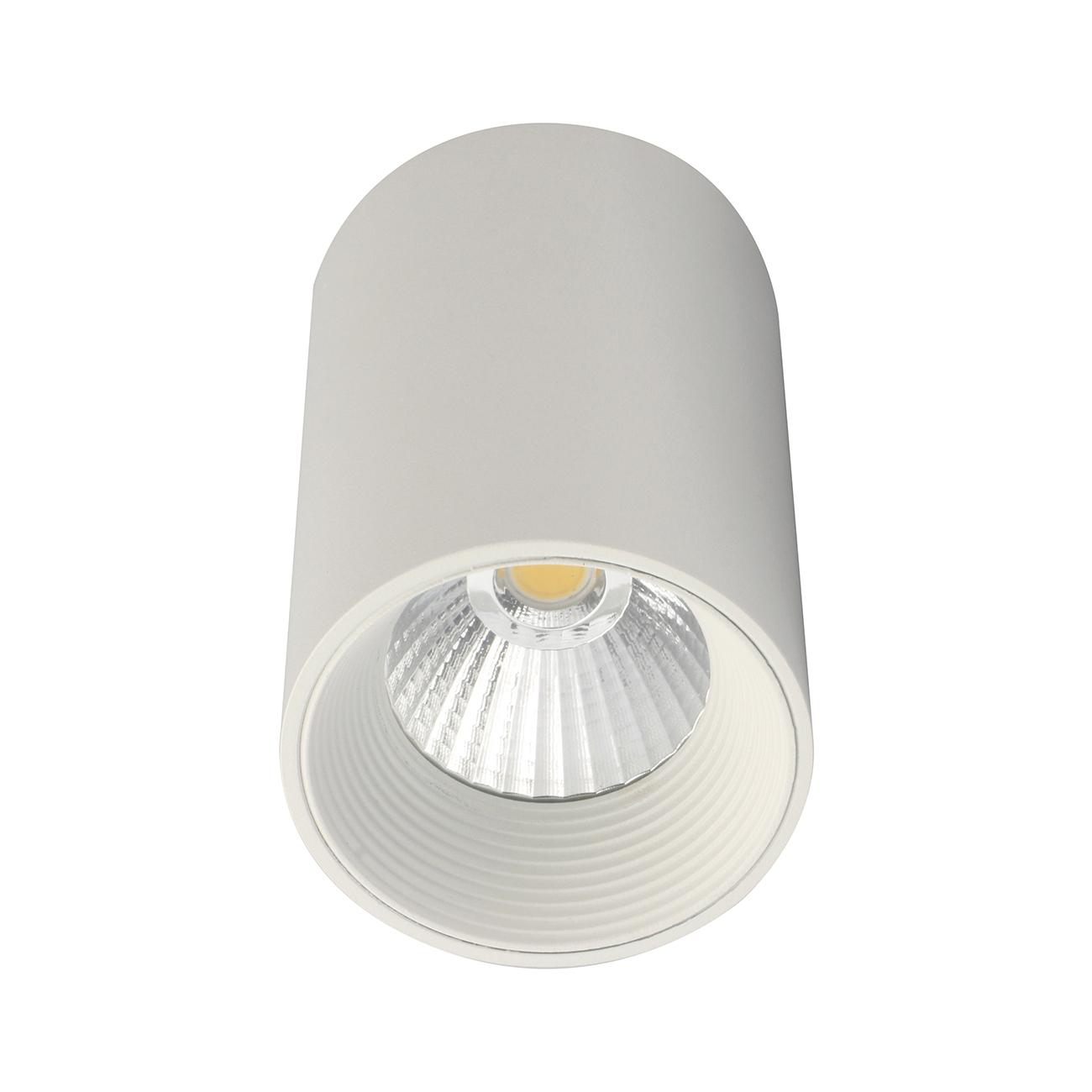 Потолочный светильник Escada 20003SMU/01LED SWH